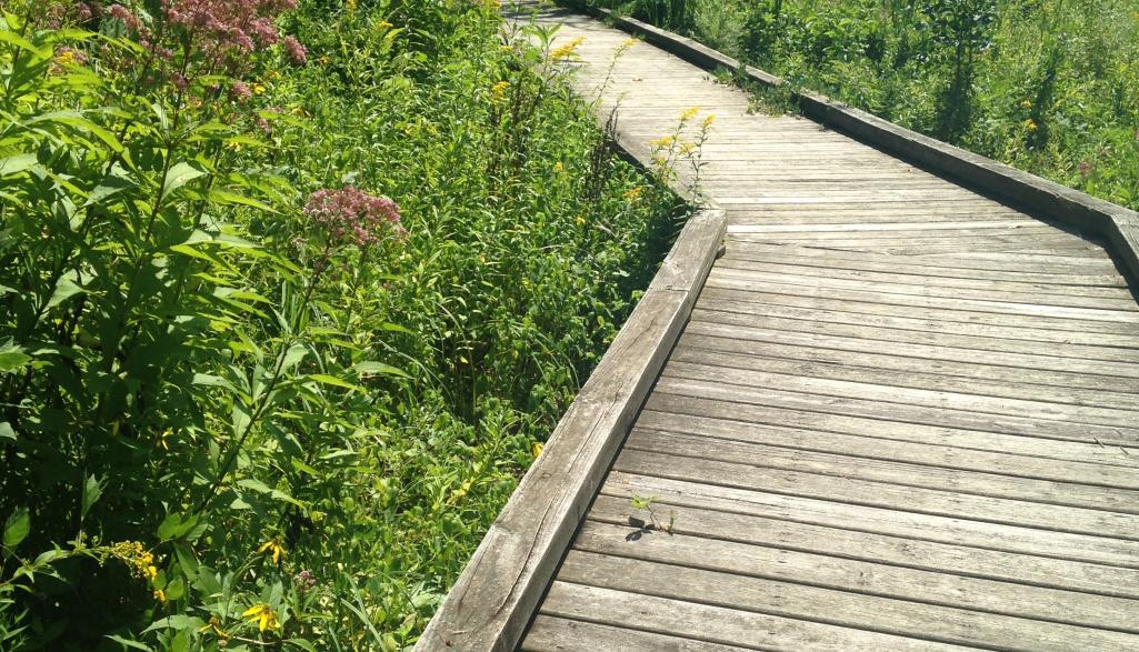 Kiwanis Riverway Park Boardwalk