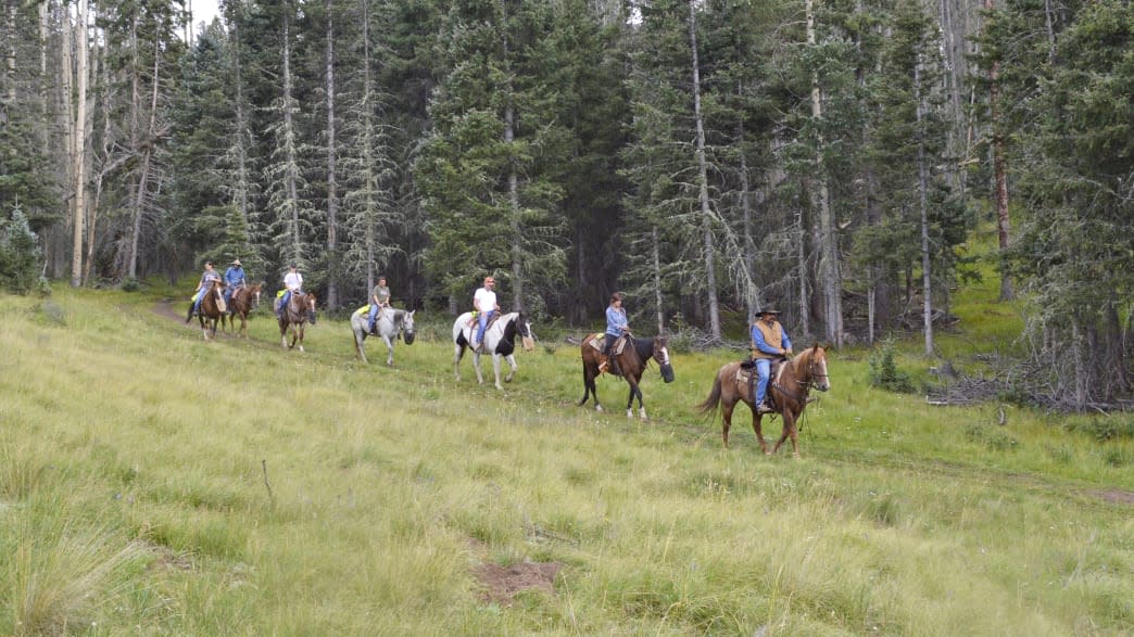 A line of people riding on horseback in a heavily wooded area with some barren trees and some with leaves.