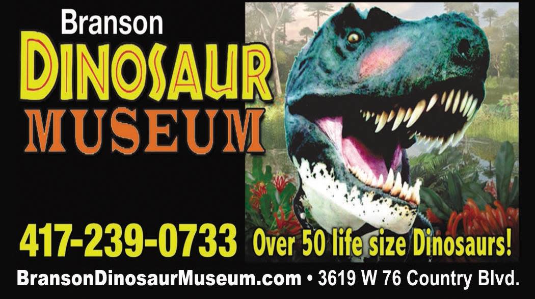 The Dinosaur Museum