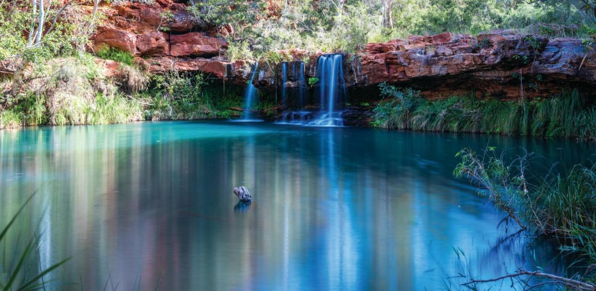 Fern Pool_Karijini National Park