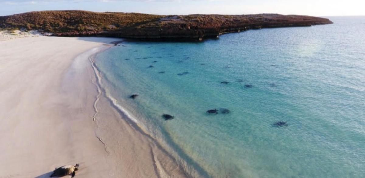 Montebello Islands_ Apache Tours