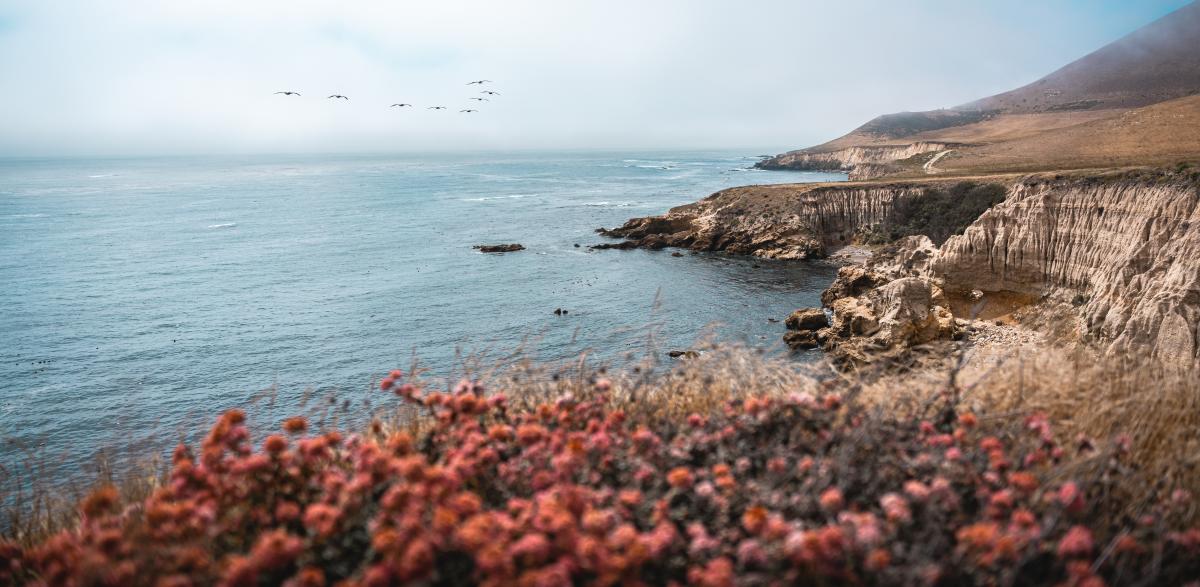 Montana De Oro