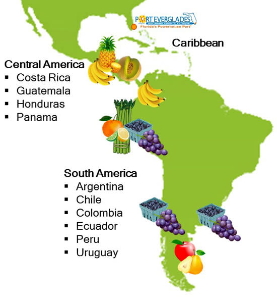 fruit map with countries