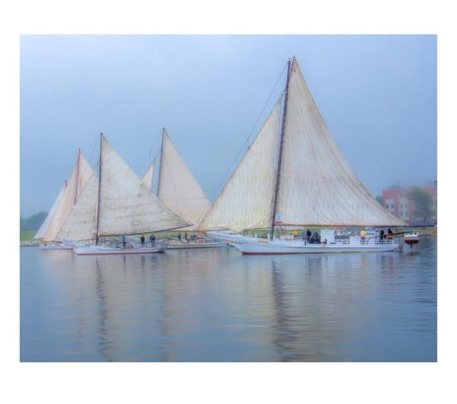 Photo of Cambridge, MD Skipjack sailboat race.