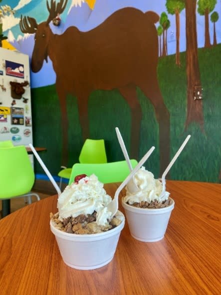 Ice Cream on a table in front of a moose mural at Frostie Moose Ice Cream Store in Prince William County VA
