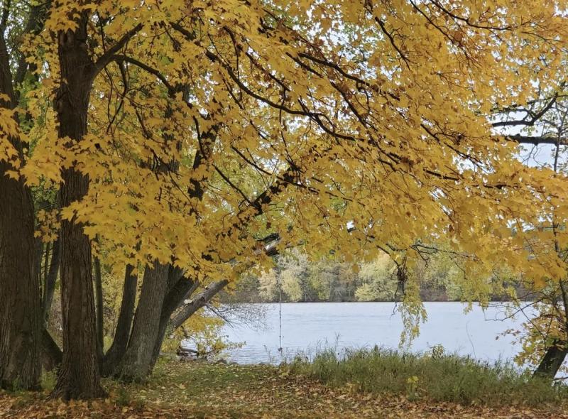 Take in Central Wisconsin's stunning fall colors on the Wisconsin River in Plover.