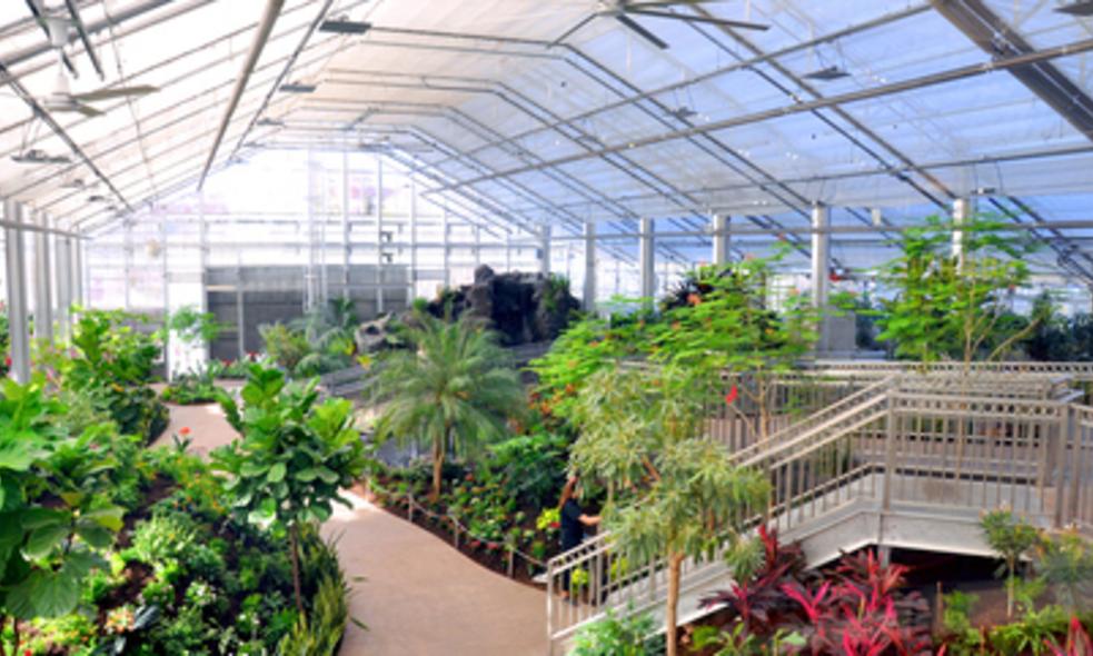 Explore Thanksgiving Point S Butterfly Biosphere In Utah Valley