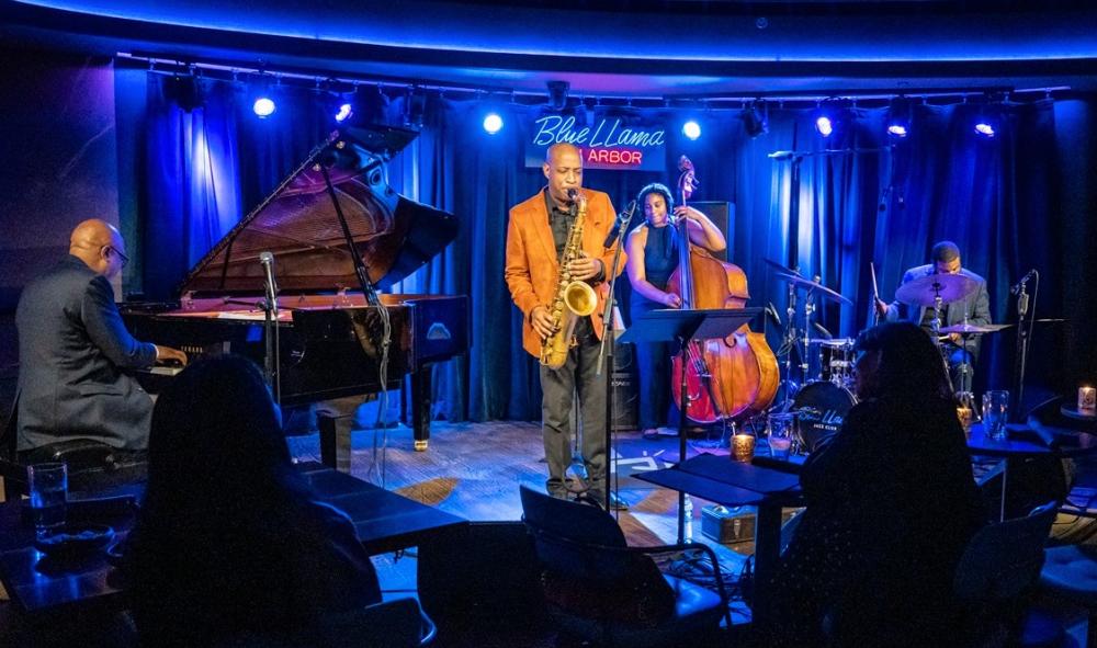 Blue llama jazz club band playing