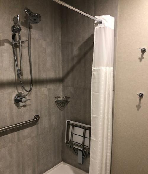 Hyatt Room Accessible Bathroom