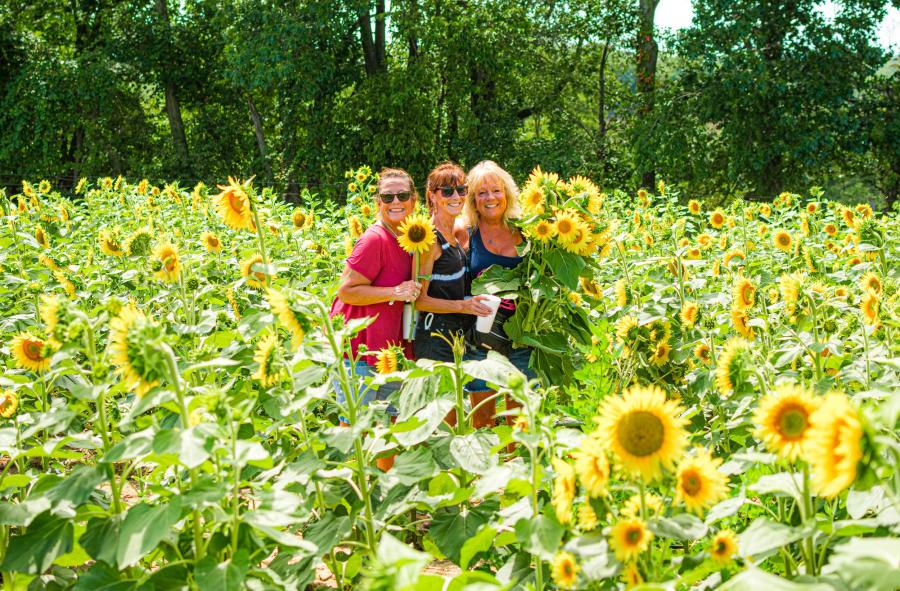 Trax Farms