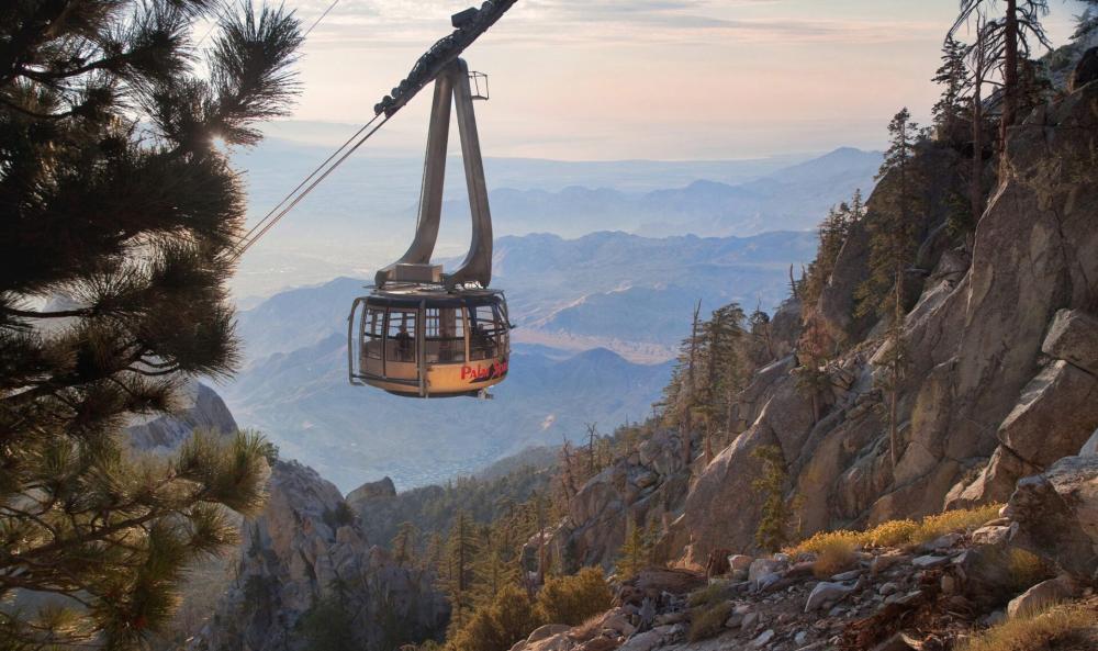 Tram with a view horizontal