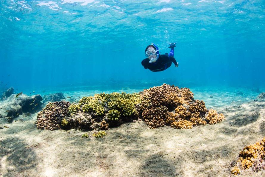 La Paz Mexico photos 101