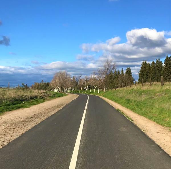 Lewis S. Eaton Trail