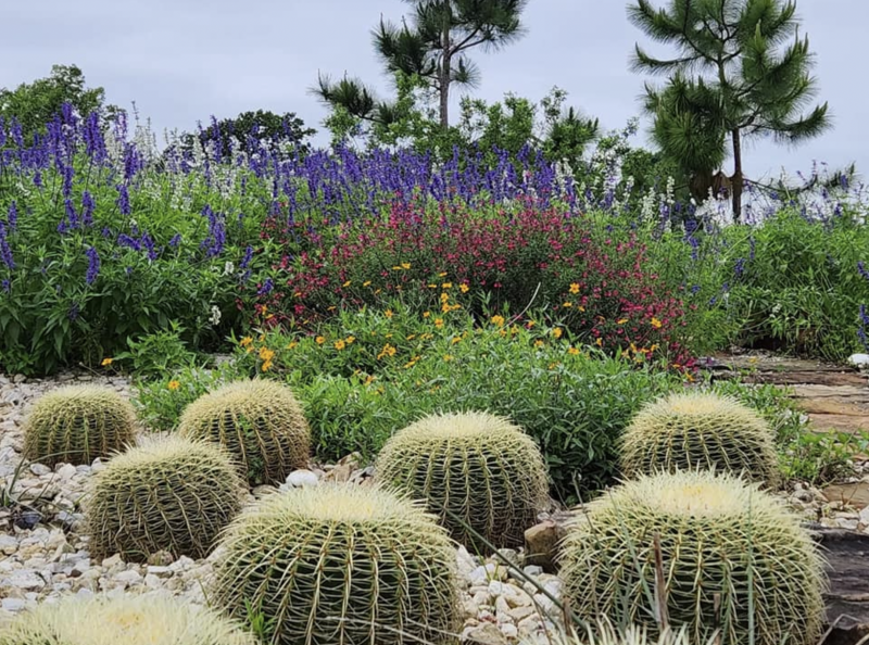 Houston Botanic Garden