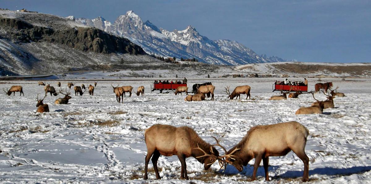 Jackson Hole