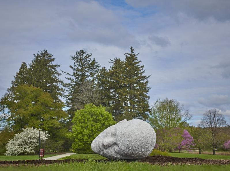 The Morton Arboretum | Outdoor Recreation, Activities & Events