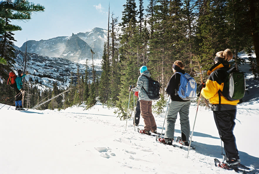 Winter Ecology: A Snowshoeing Trek for Kids & Families - Image