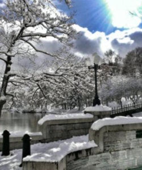 Washington Park Bridge
