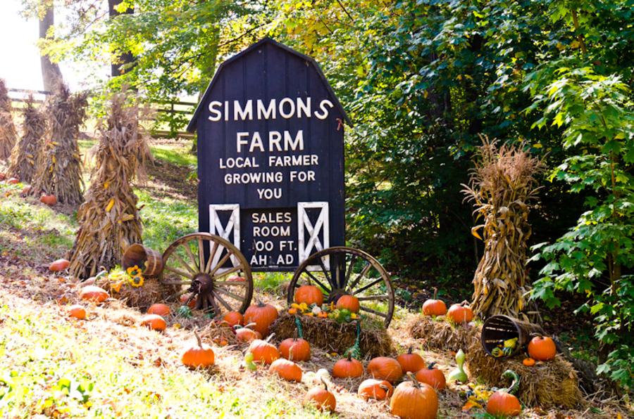 Simmons Farm
