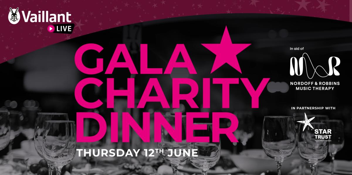 VL Charity Partners