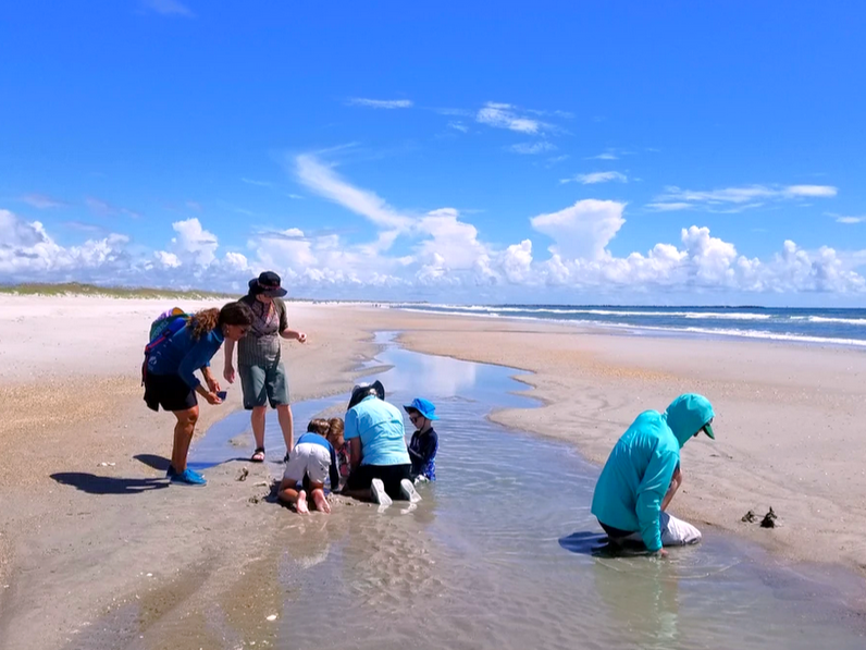 Tour group exploring with Coastal Eco Adventures in Wrightsville Beach