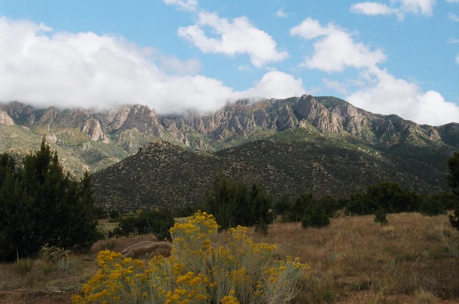 A photo of the Sandia Mountains taken from Elena Gallegos Open Space