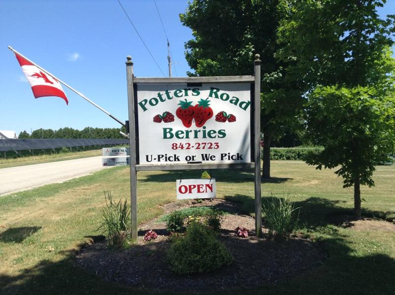 Potters Road Berries sign