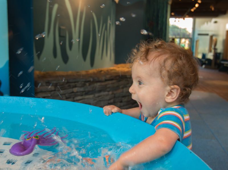 Marbles Kids Museum In Raleigh Nc - Visit Raleigh Family Fun Guide