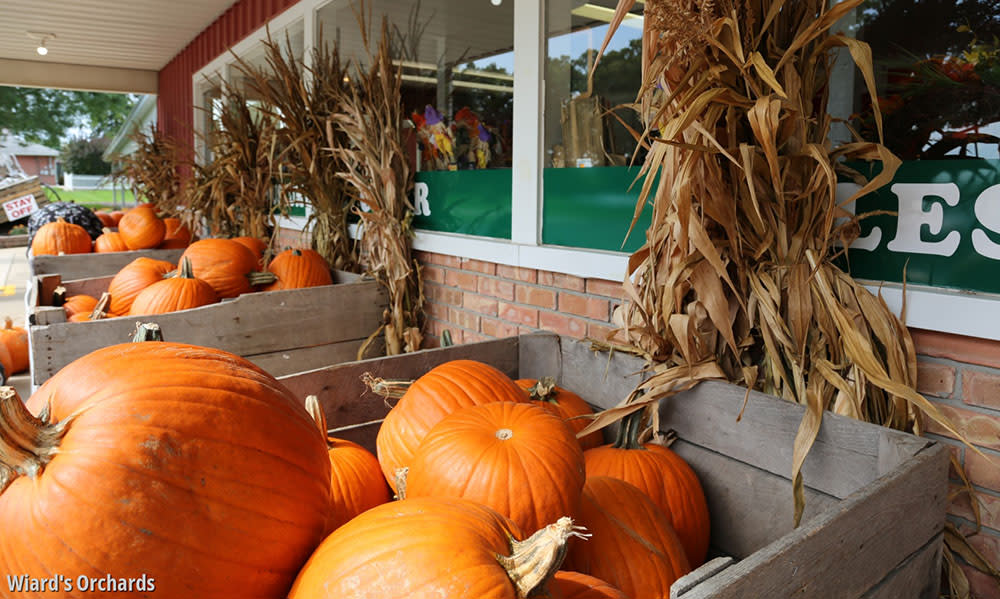 Wiard's Orchards