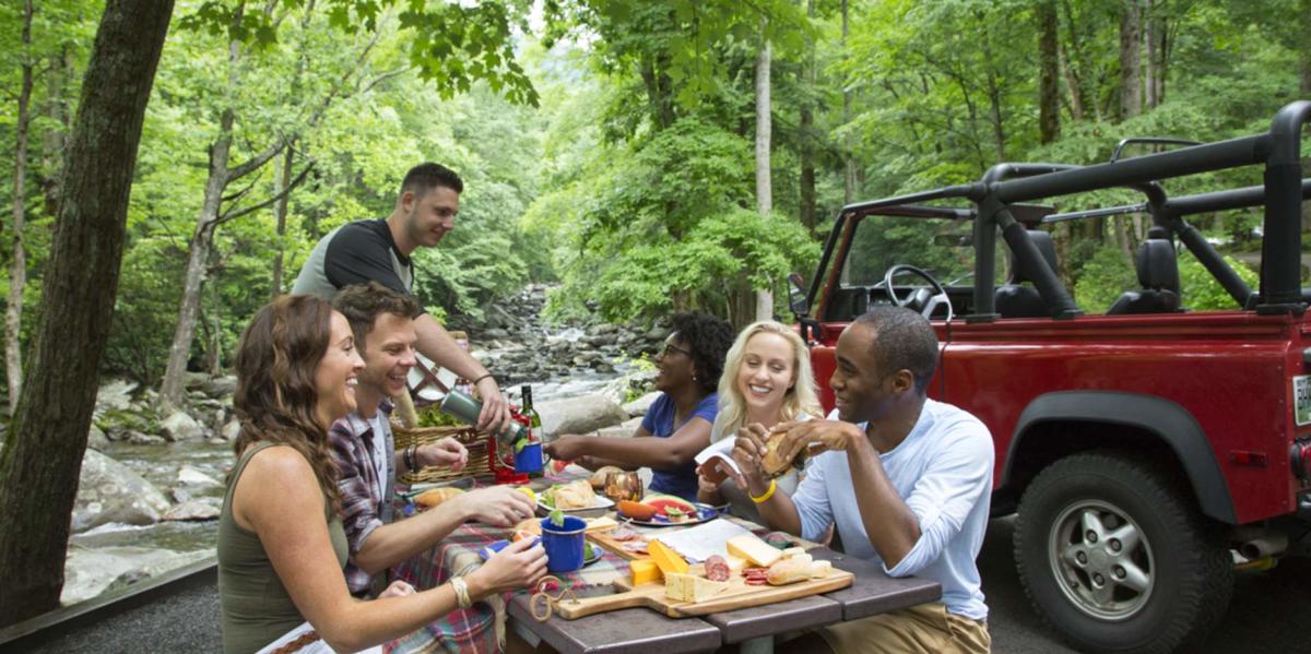 Picnic with friends Chimneys