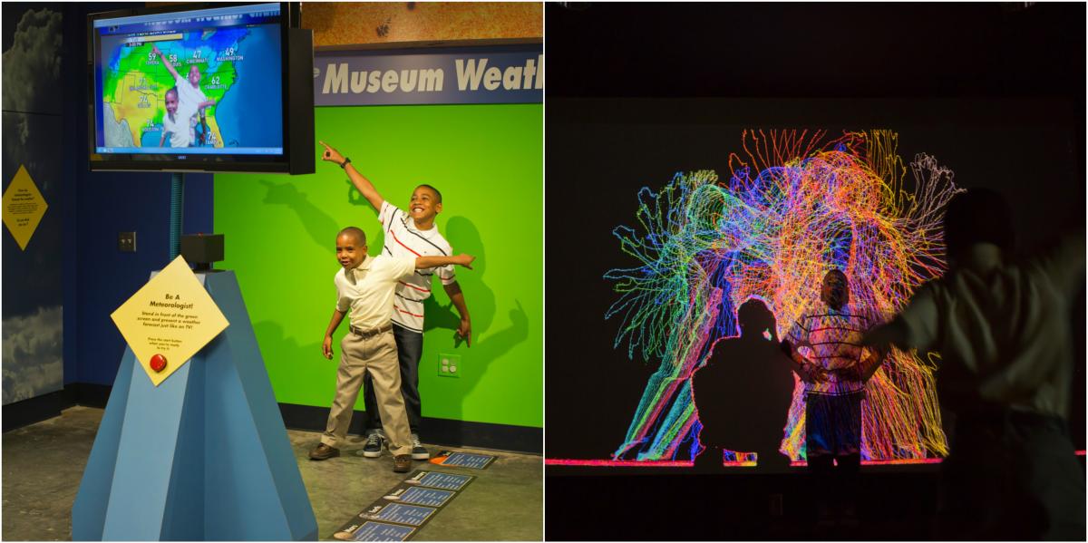 Museum of Arts and Sciences