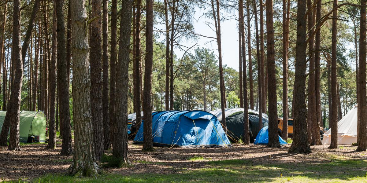 Camping Avon Tyrrell