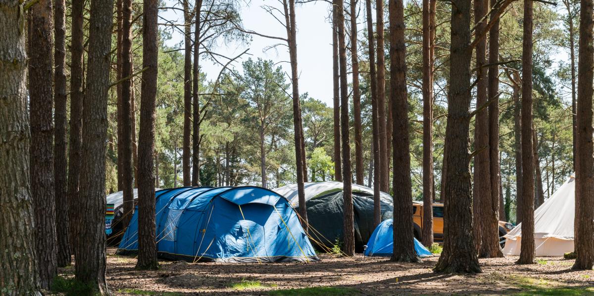 Camping Avon Tyrrell