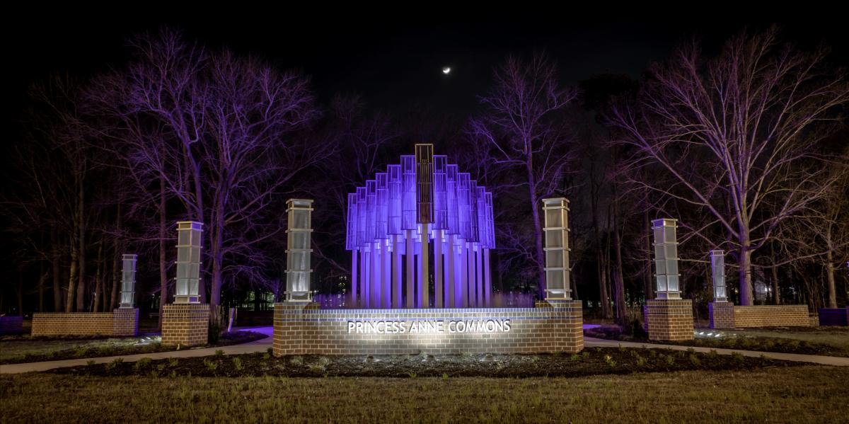 Princess Anne Commons Light Garden