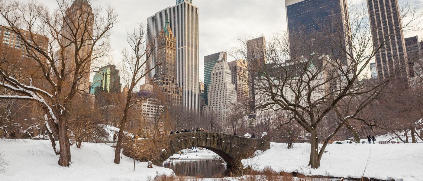 What To Do In Nyc This Winter