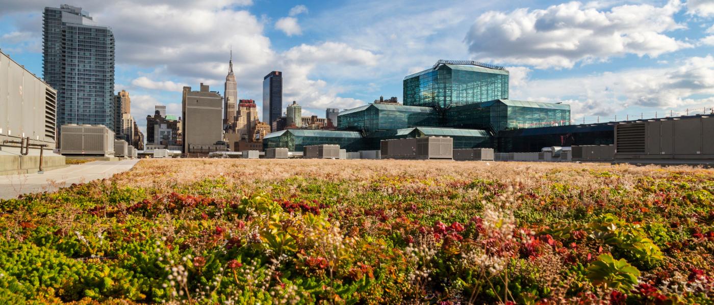 Javits Center, Roof, Green Roof