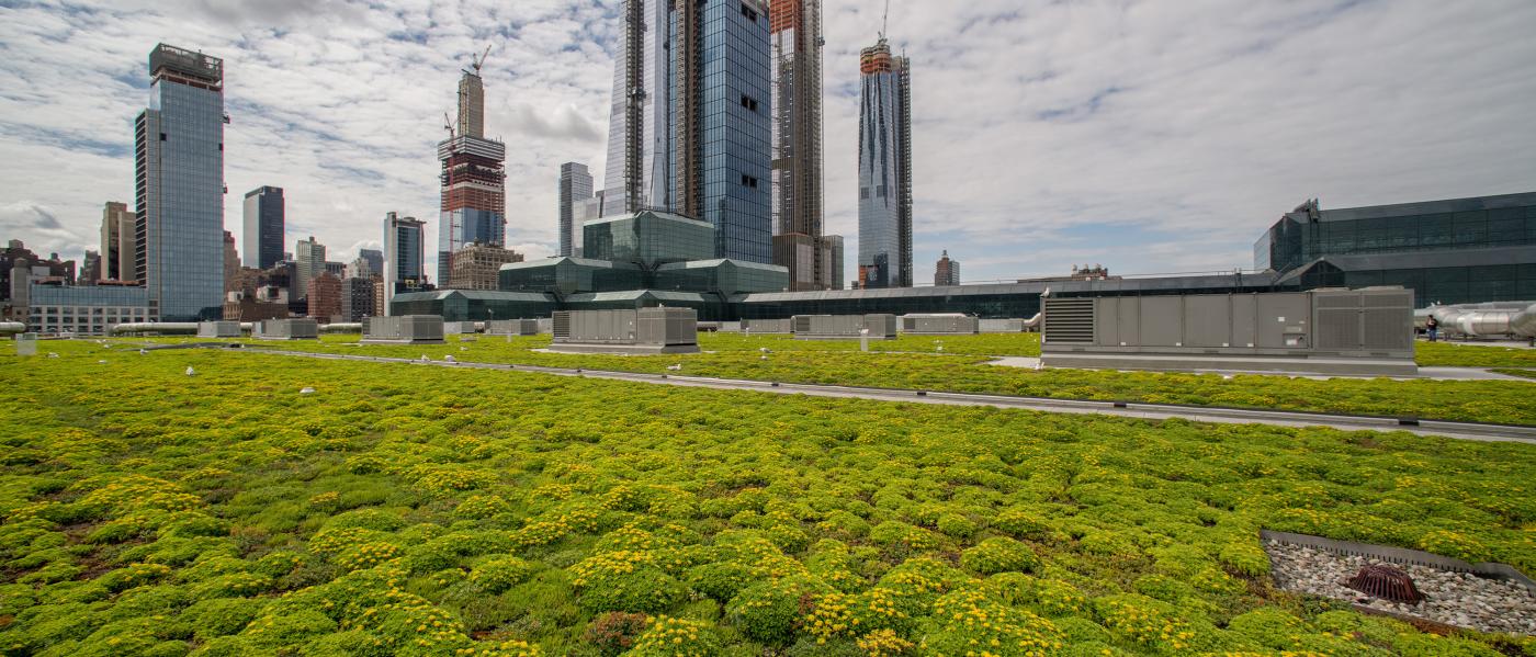 javits, green roof