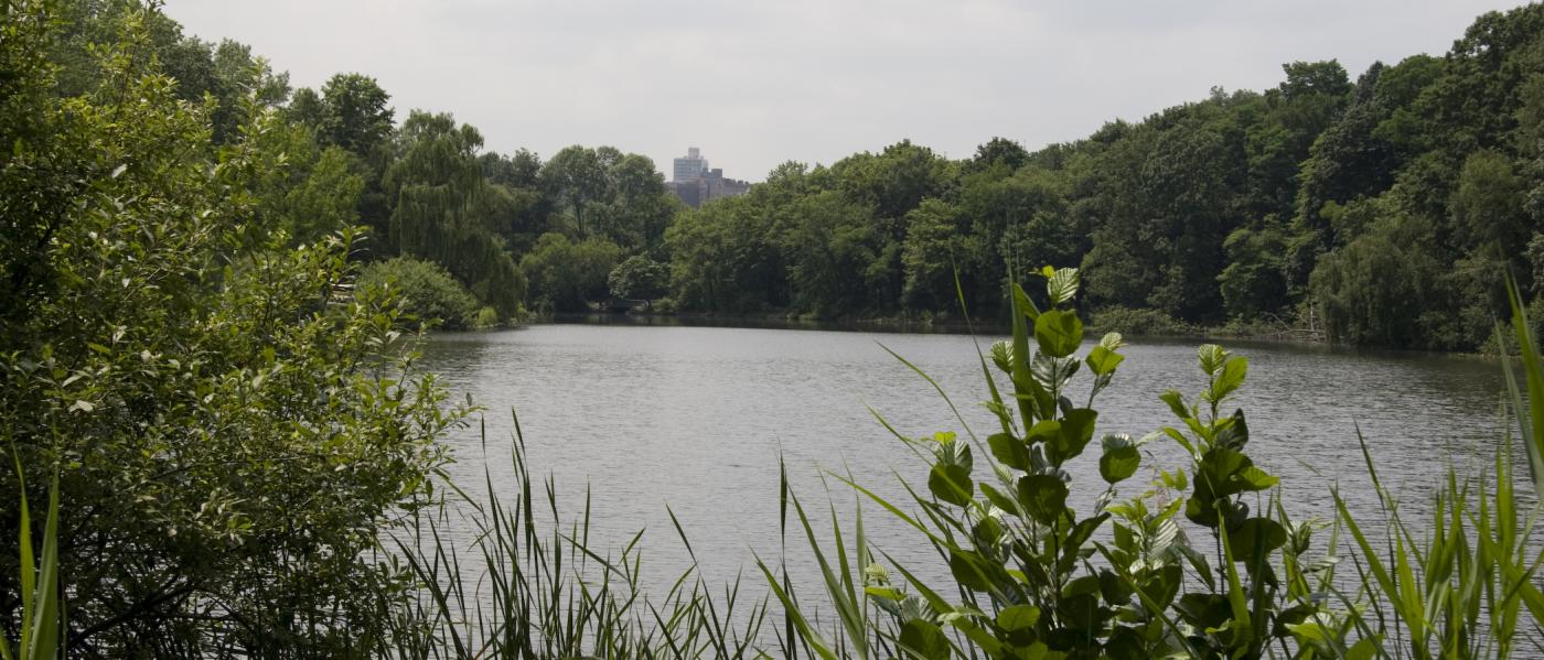 Van Cortland Park