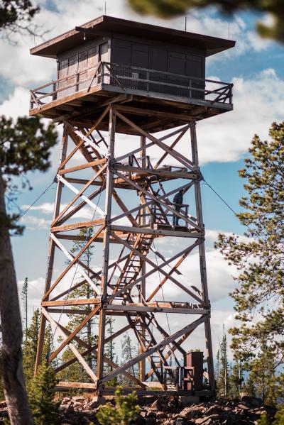 Tall fire lookout surrounded by trees