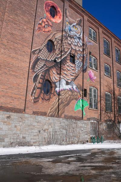 Owl Mural at The Shirt Factory