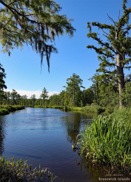 Cypress Cove Park in Leland, NC.