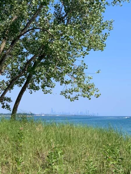 Whihala Beach Chicago