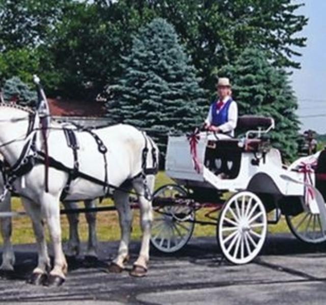 Horse Drawn Scenic Tours of Grand Rapids - Kent City MI, 49330