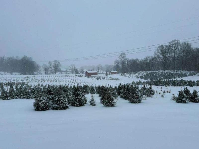 Ratkovich Farm, Bedford