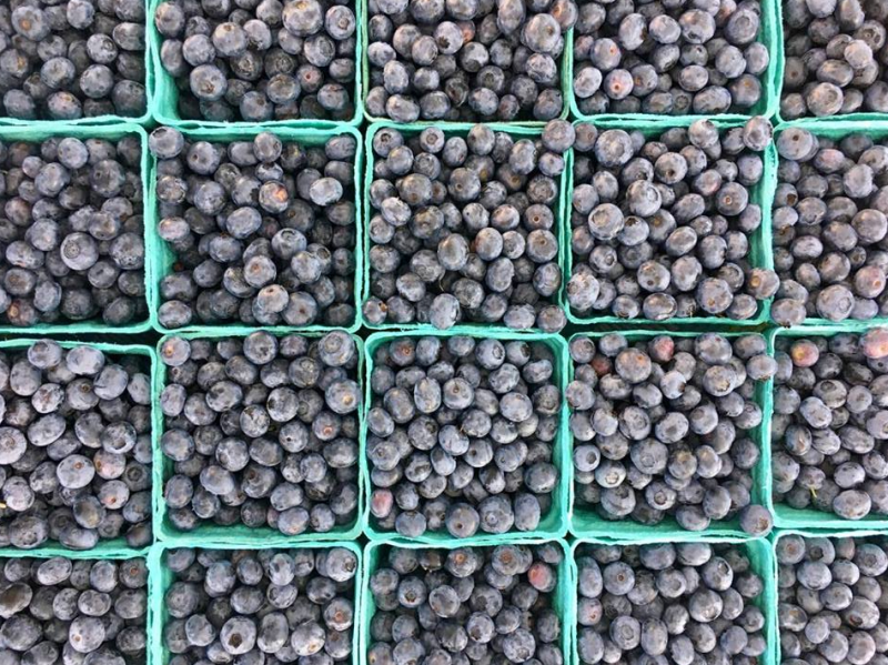 Blueberries