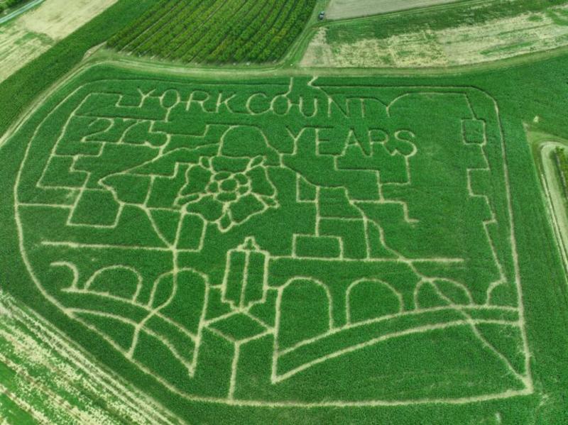 Flinchbaugh's 2024 corn maze
