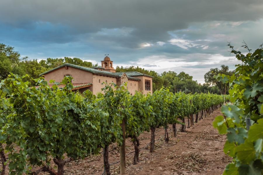 An outdoor image of Casa Rodena Winery.