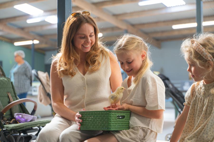 Mother and children holding a chick at Cotswold Farm Park