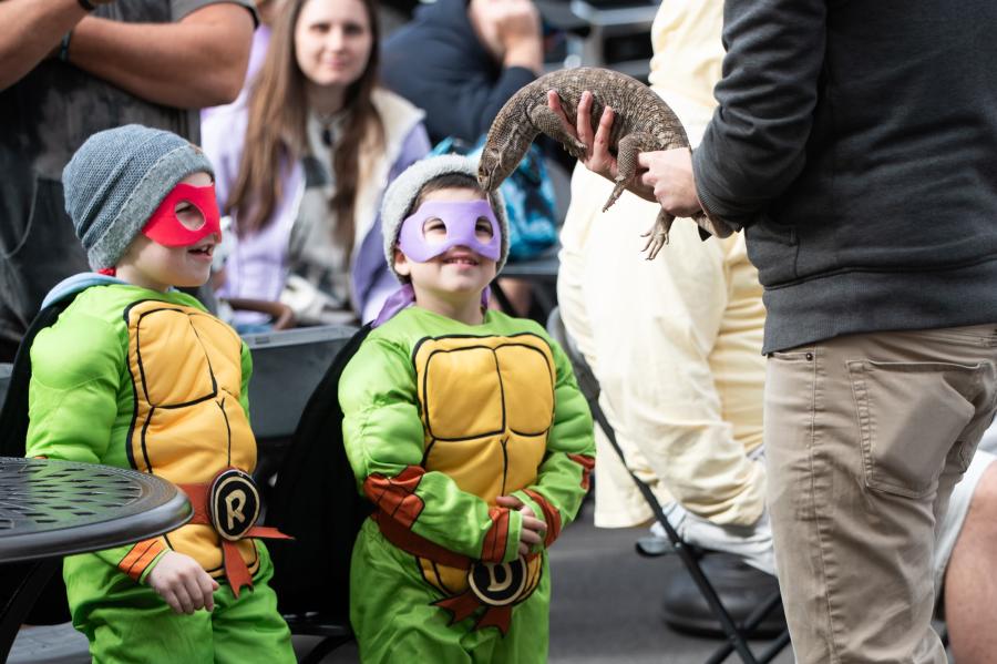 Fall Into Canandaigua, BID Events