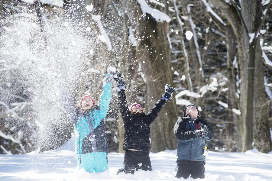A group of kids playing in the snow